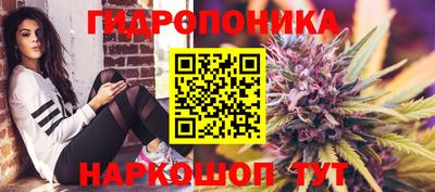 соль ск Усть-Илимск