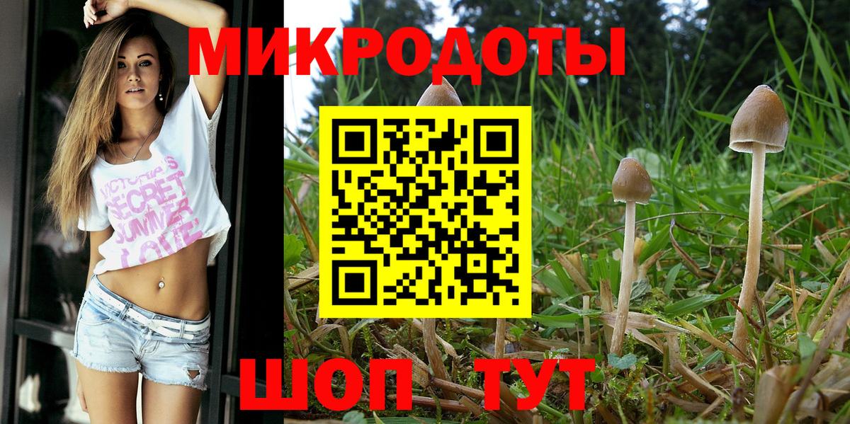 Галлюциногенные грибы мицелий Отрадный