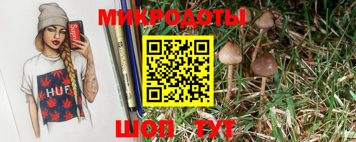хочу   Галлюциногенные грибы Psilocybe  Галлюциногенные грибы мицелий  Вход с VPN  Отрадный 